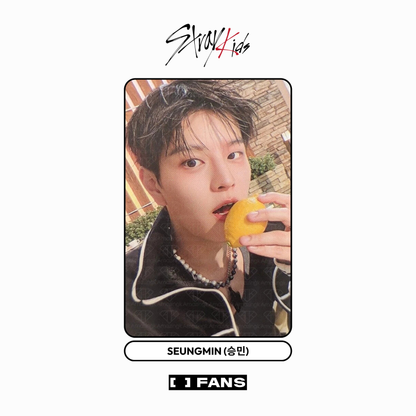 [fans shop] stray kids - [skz it tape do it] pob photocard