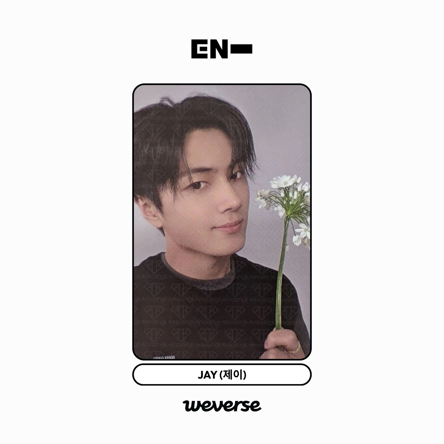 [weverse] enhypen - [-yoi-] pob photocard