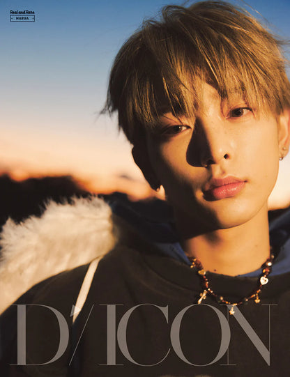 dicon volume n°28 &team real and rare - cover : &team