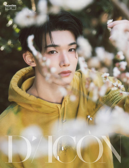 dicon volume n°28 &team real and rare - cover : &team