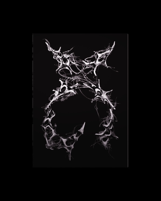 xg - 2nd mini album [awe] xg ver.