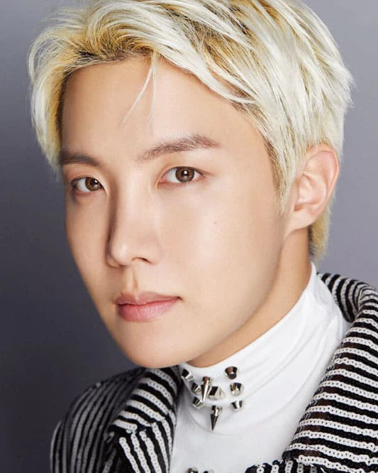 bts - dicon d’festa photobook