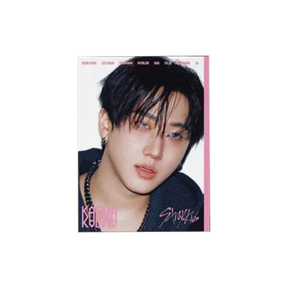 stray kids - 4th album [karma] accordion ver.