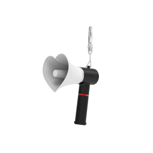 the boyz - official lightstick mini keyring